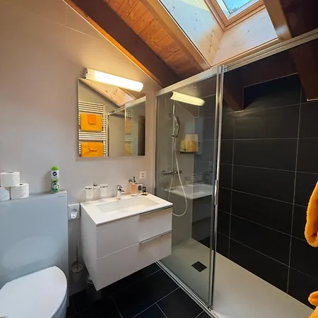 Apartament Tarbey Alpine Leukerbad