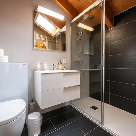 Luxury Duplex Apartment - Ski-In & Bergsicht Apartment Leukerbad