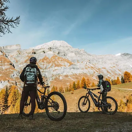 Tarbey Alpine