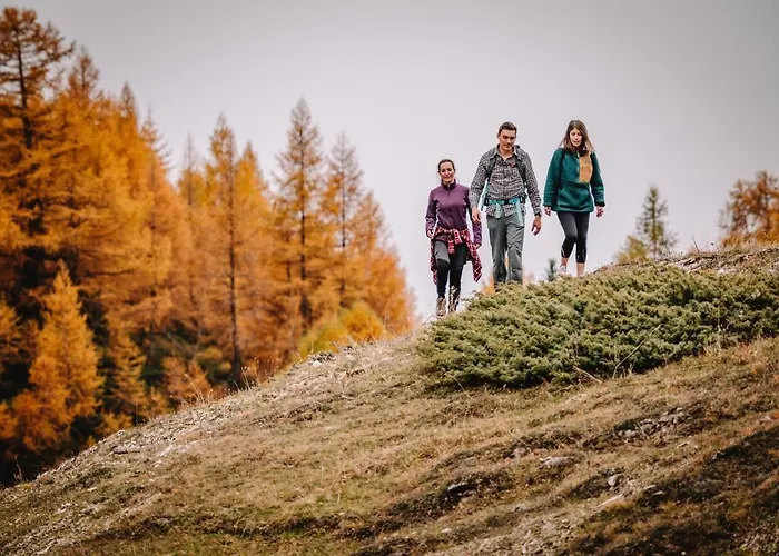 Tarbey Alpine Лойкербад