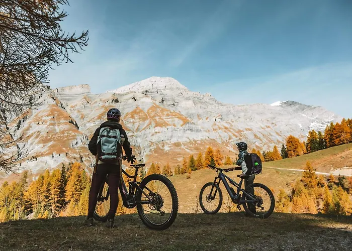 Tarbey Alpine